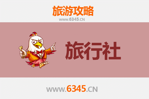 洛阳西工区本地旅行社推荐及深度游玩攻略