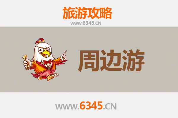 洛阳西工周边游攻略：古都文化深度体验与美食探寻之旅